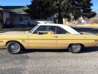 1974 ely nv
